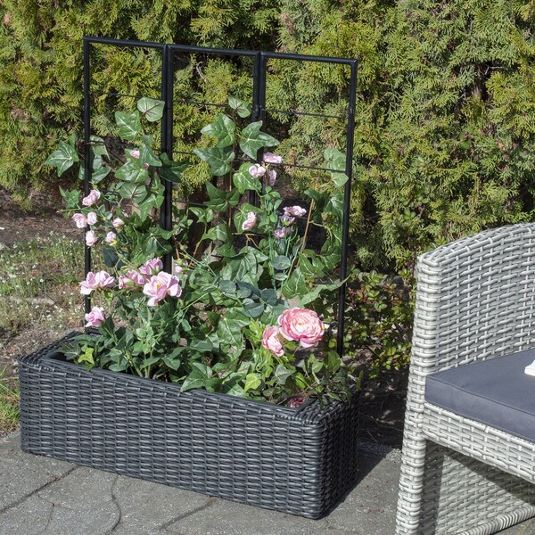 Wicker Planter with Trellis, black